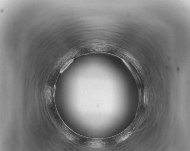 X0000087570121200705041428