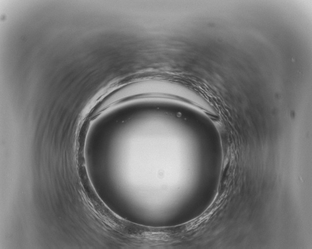X0000087570150200705041427