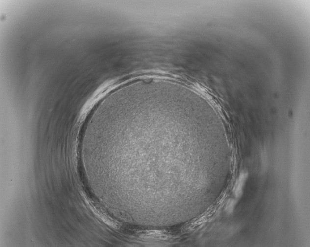 X0000087570151200705041427