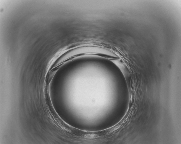 X0000087570152200705041427