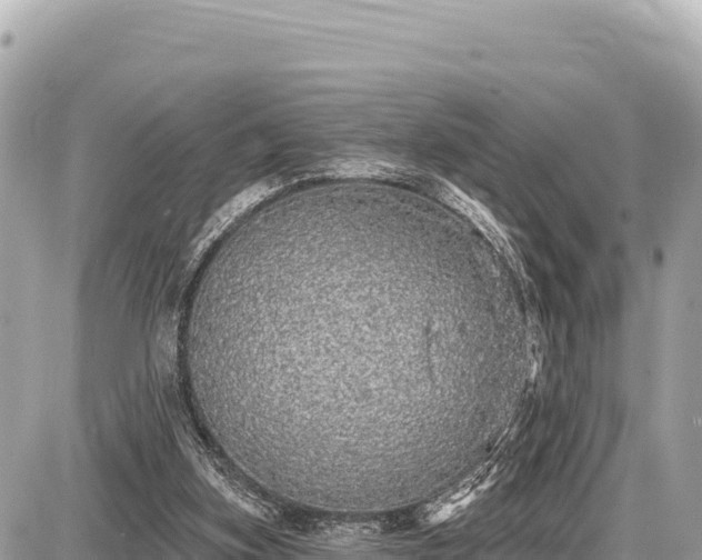X0000087570155200705041427