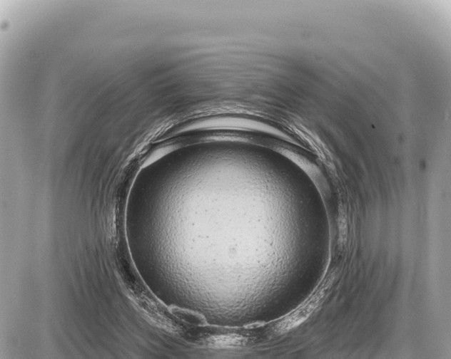 X0000087570158200705041427