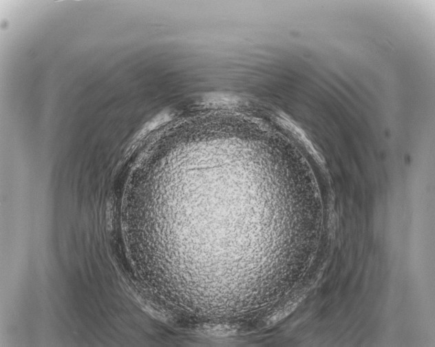 X0000087570161200705041427