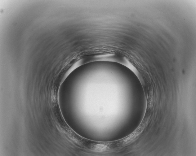 X0000087570176200705041427