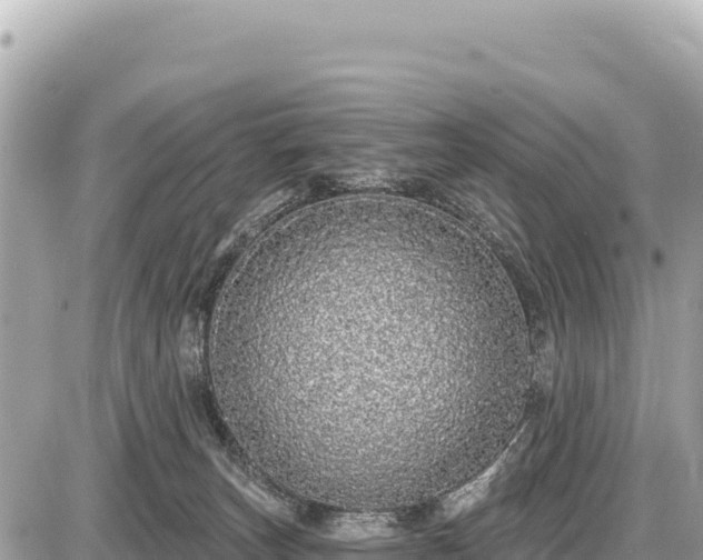 X0000087570179200705041427