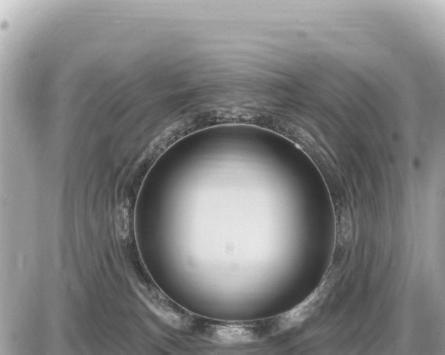 X0000087570183200705041427