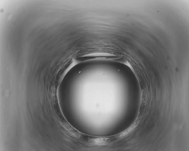 X0000087570184200705041427