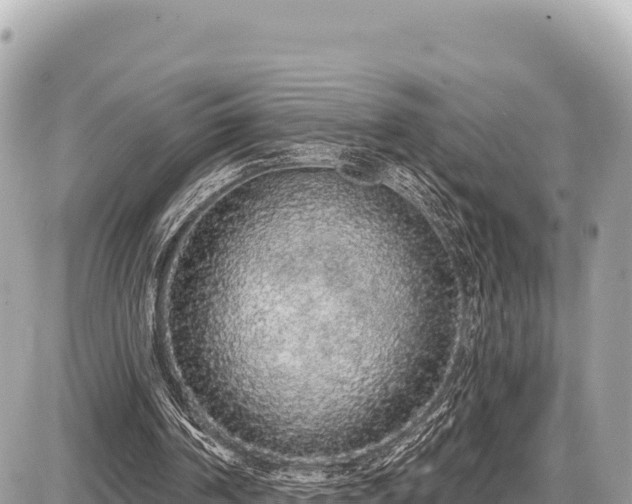 X0000087570194200705041427