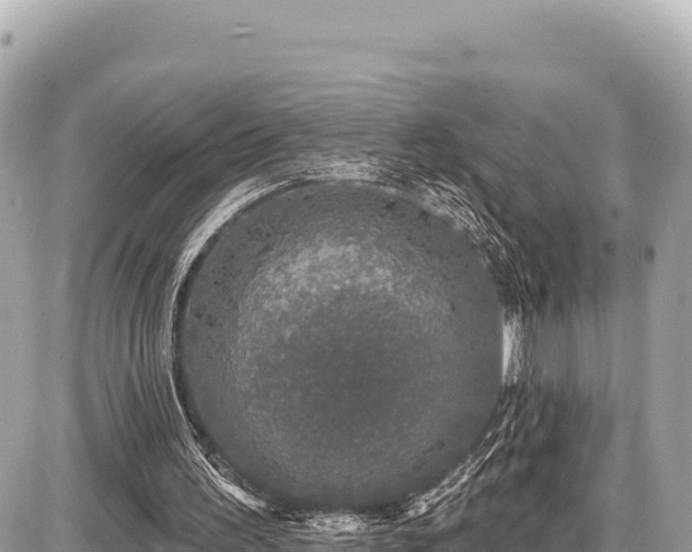 X0000087570195200705041427