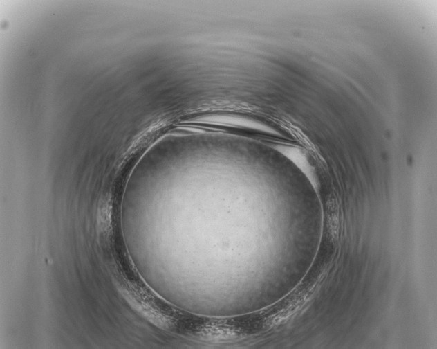 X0000087570207200705041426