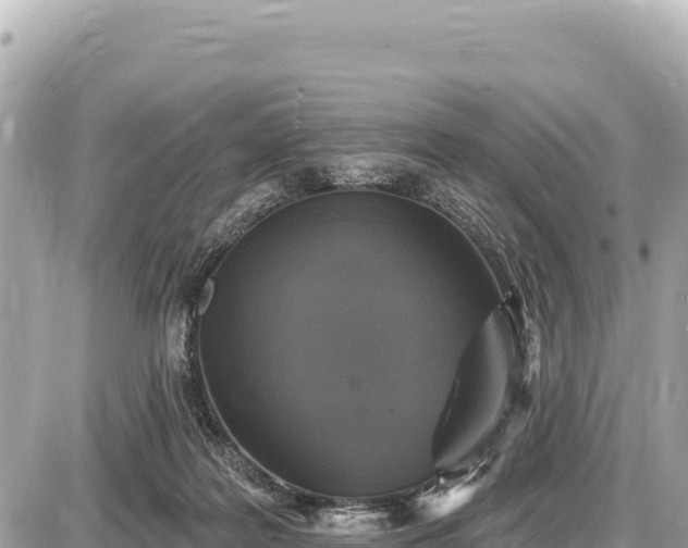 X0000087570219200705041426