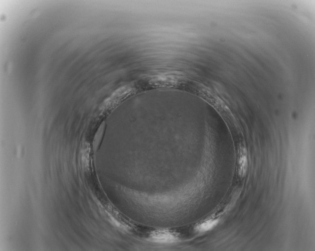 X0000087570231200705041426