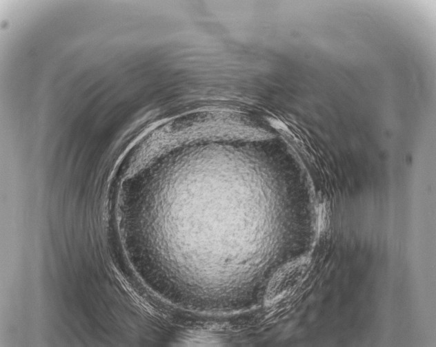 X0000087570243200705041425