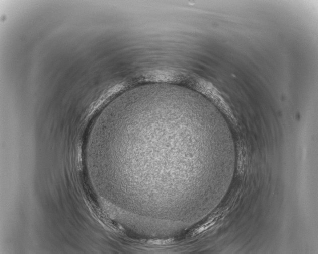 X0000087570251200705041425