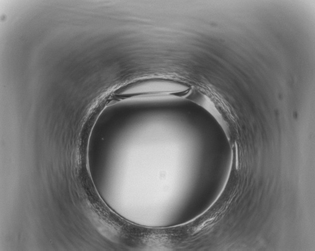 X0000087570252200705041425