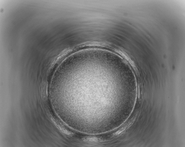 X0000087570253200705041425