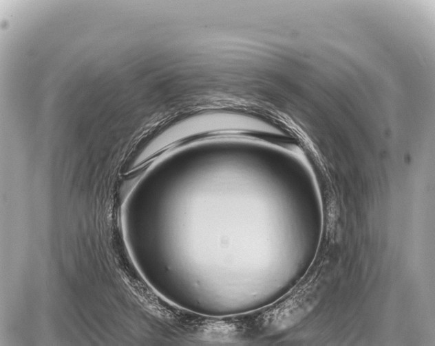 X0000087570257200705041425
