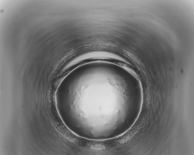X0000087570258200705041425