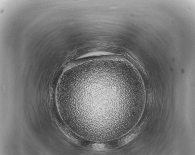 X0000087570265200705041425