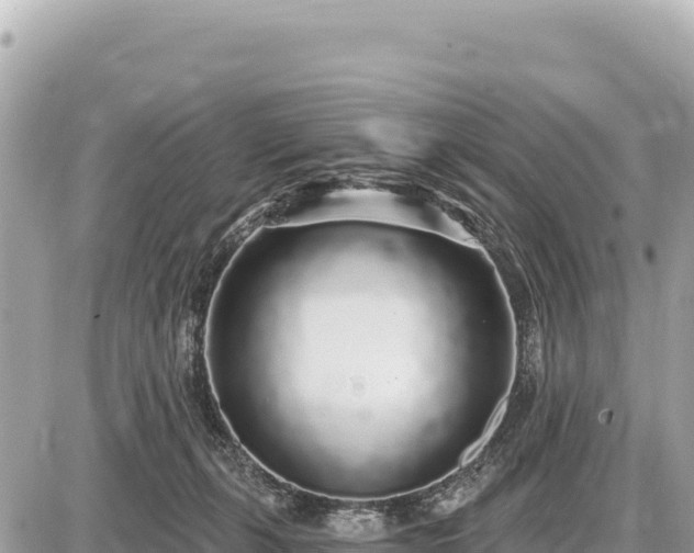X0000087570271200705041425