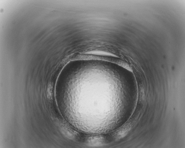 X0000087570274200705041426
