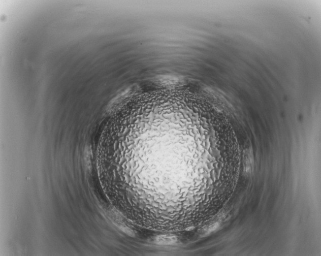 X0000087570279200705041426