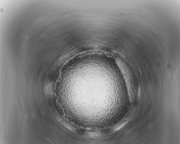 X0000087570286200705041426
