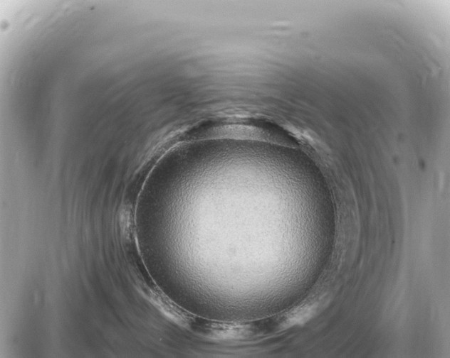 X0000087570288200705041426