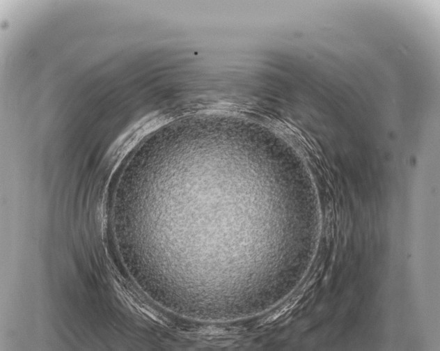 X0000087570290200705041425