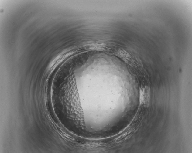 X0000087570291200705041425