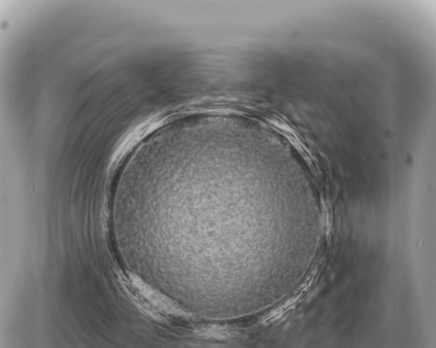 X0000087570293200705041425