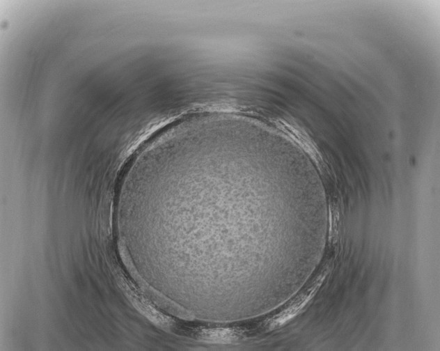 X0000087570301200705041425