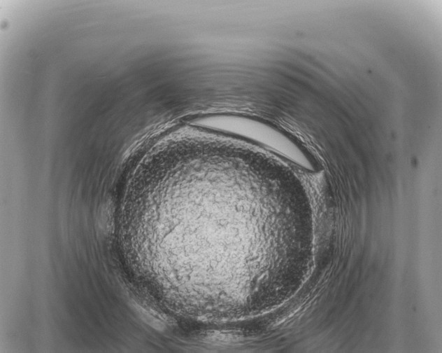 X0000087570303200705041425