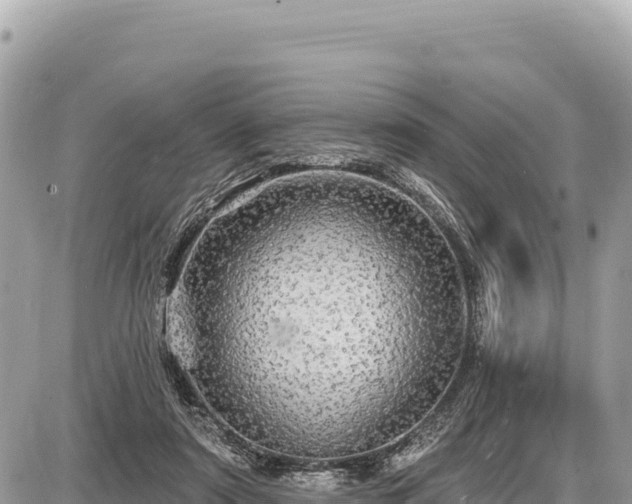 X0000087570307200705041425