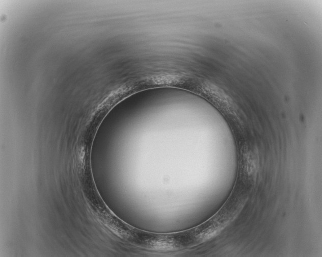 X0000087570308200705041425