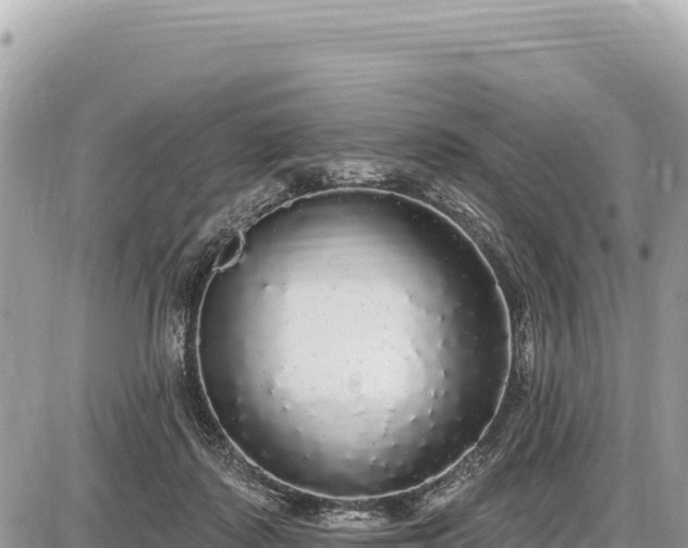 X0000087570315200705041425