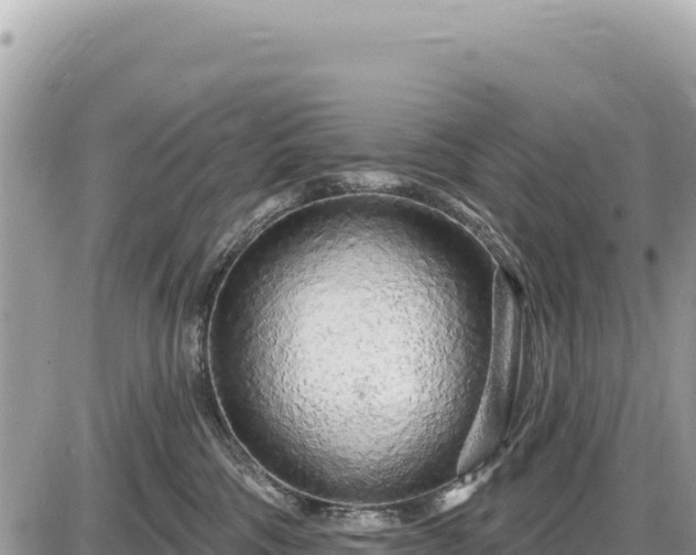 X0000087570330200705041424