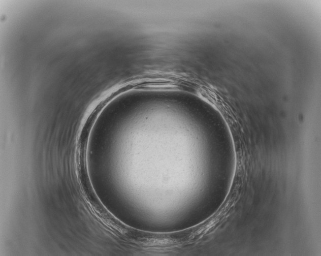 X0000087570342200705041424