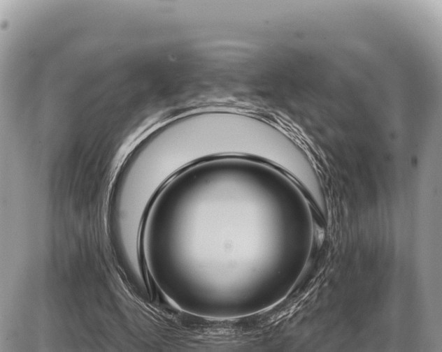 X0000087570344200705041424