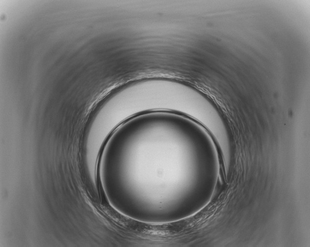 X0000087570352200705041424