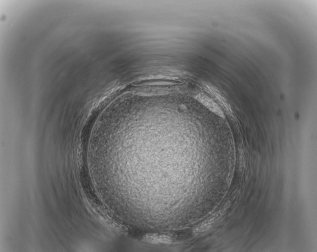 X0000087570354200705041424