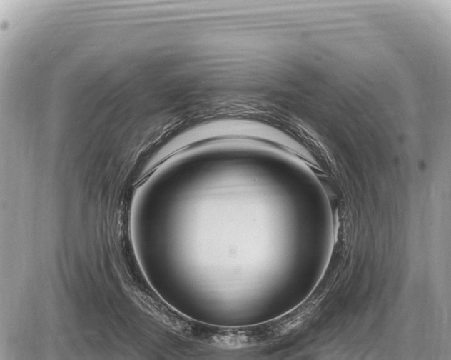 X0000087570362200705041424