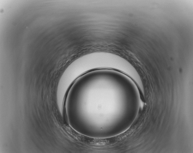 X0000087570368200705041424
