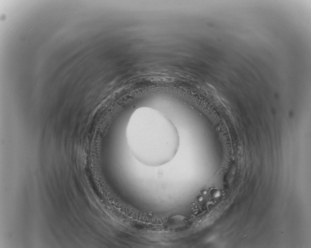 X0000087570370200705041424