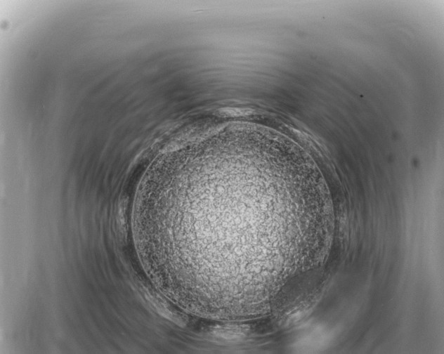 X0000087570373200705041424