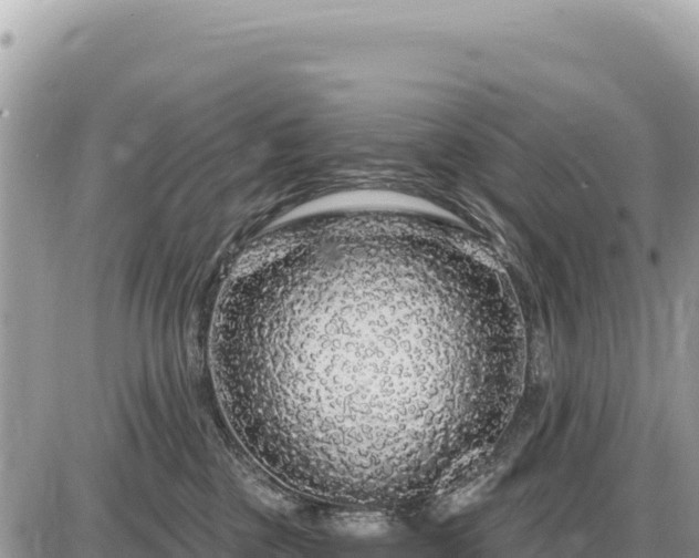 X0000087570377200705041424