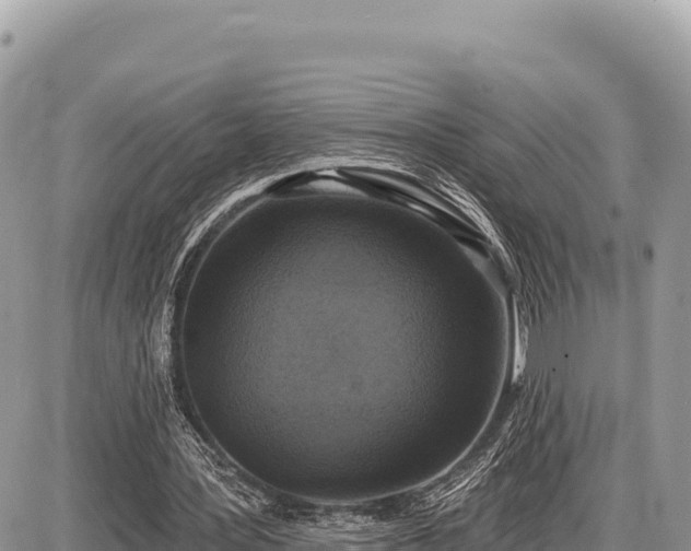X0000087570387200705041423