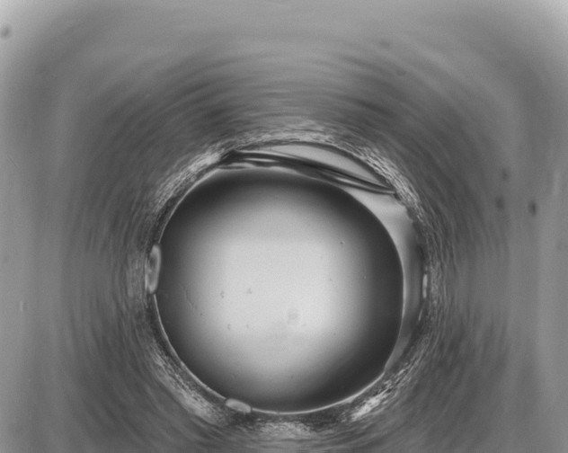 X0000087570397200705041423