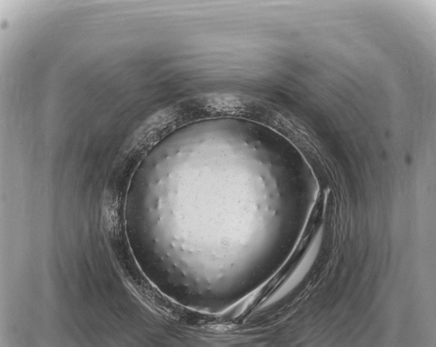 X0000087570408200705041423