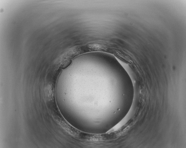 X0000087570420200705041423